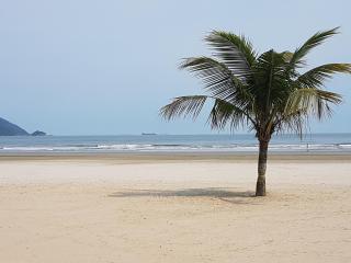 Apartamento em frente a Praia do Embaré - Santos - Santos - 0