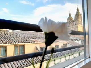 Apartamentos Celestina by gaiarooms - Salamanca - 1