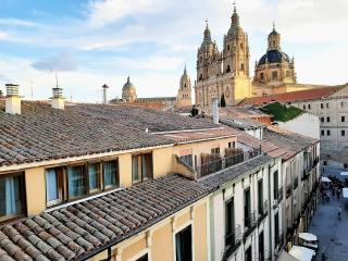 Apartamentos Celestina by gaiarooms - Salamanca - 9