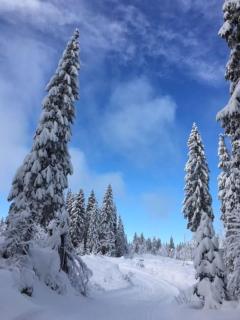 Latitude Savoie - 9