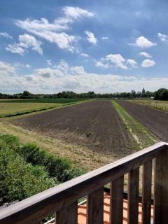 De Zeereep - Oostkapelle - 2