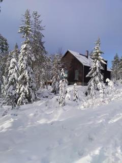 Syötteen Kajo - Syöte - 9