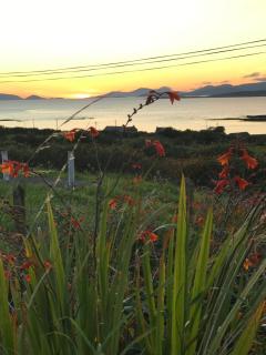 The Stable Self Catering Cottage @ Cappa House BnB - 5