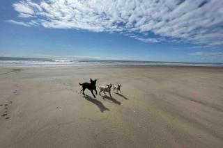 Modern Funky Private Chalet at the Beach - Tywyn - 6