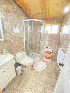 Cabañas Teresa Frutillar - 3