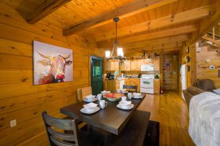 Secluded Cabin Pool Access Arcade & Screened Hot Tub - 4