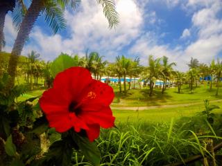 Kanucha Bay Hotel & Villas - Nago - 5