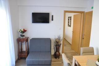 Apartmani Ana Vukovar - Vukovar - 6