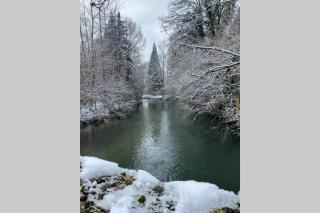 Les Dépendances - 8