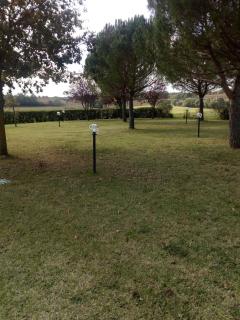 Holiday home in Monte San Savino 23547 - Monte San Savino - 1
