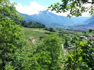 Agritur al Vigneto - Trento - 5