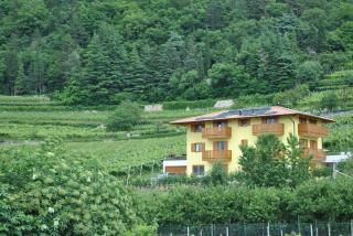 Agritur al Vigneto - Trento - 4