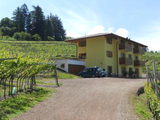 Agritur al Vigneto - Trento - 2