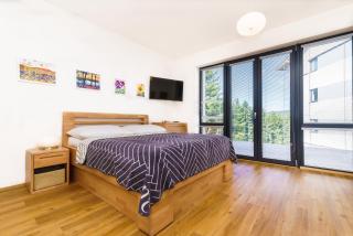 Horský apartmán Temari 6 Klínovec - Loučná pod Klínovcem - 0