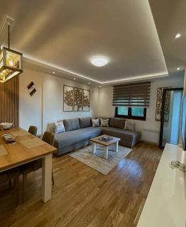 Apartman Stefanović Vila Darija Lux - Zlatibor - 9