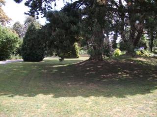 Fieldways - 5