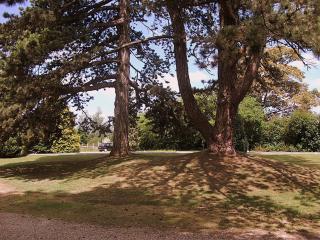 Fieldways - 3
