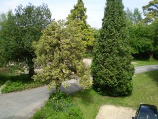 Fieldways - Trowbridge - 2
