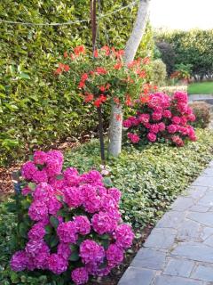 Les Puits Bessin Normandie - 5