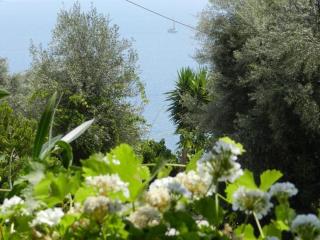 Georgia - Nikiana - 6