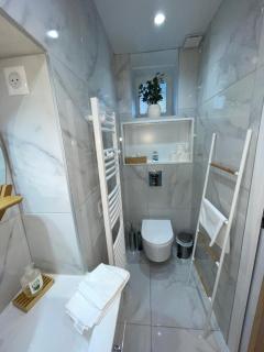 Appartement François 1er - Vichy - 4