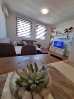 APARTMAN MOSKVA BIJELJINA - Bijeljina - 5