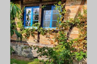 BlaukehlchenBleibe - 2