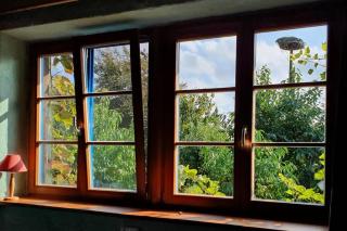 BlaukehlchenBleibe - 3