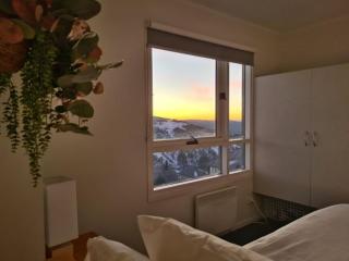 Red Robin - Mount Hotham - 3