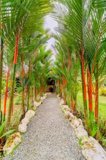 Casa Shaquir H -Luxury Villa with Private Pool & Stunning Views - Puerto Viejo - 7