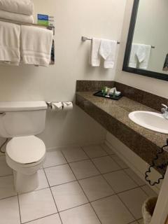 Miracle Springs Resort and Spa - 7