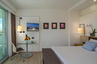 Hotel Viareggio - Viareggio - 4