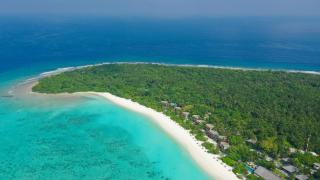 The Barefoot Eco Hotel - 0