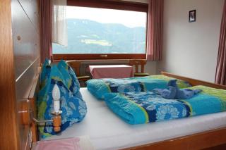 Gasthof Hotel Wöhrmaurer - Feldthurns - 7