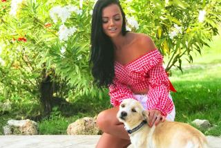 PRETTY SPITI Holiday Home - 5