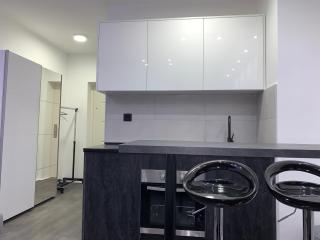 CENTRAL APARTMENT 2 - Novi Sad - 4