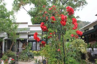 Beachwood Villas - Marmaris - 4