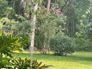 The Ann Stevens House - Cassadaga - 2