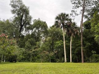 The Ann Stevens House - Cassadaga - 1