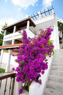 Apartments Fani - 9