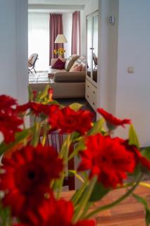 Ferien unnern Appelboom (80m2 Wohnung mit großem Garten) - Groß Kordshagen - 4