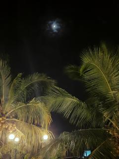 Jojies Homestay Fortkochi - Cochin - 9