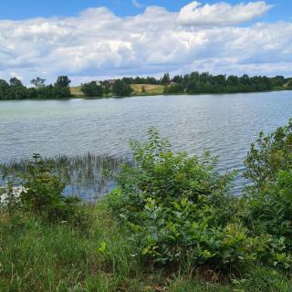 Domek Nad Jeziorem - 8