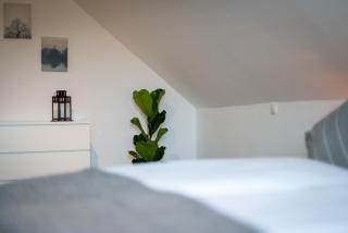 CASSEL LOFTS - Komfortable Wohnung für 4 - nahe SMA & Fulda - 5