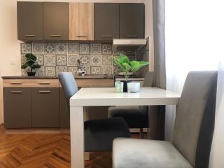 Apartman Mijailović 2 - Soko Banja - 4