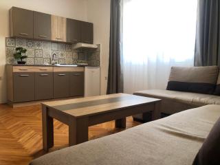 Apartman Mijailović 2 - Soko Banja - 3