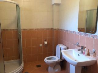 Apartman Mijailović 2 - Soko Banja - 2