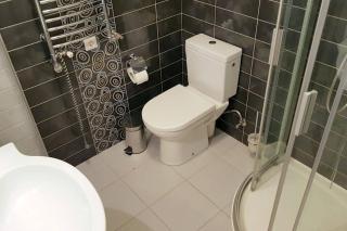 Viksvų apartamentai Palangoje - Palanga - 4