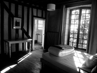 La suite St Laumer - Blois - 1