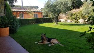 B&B Casa Vacanza Centro Sardegna - 4